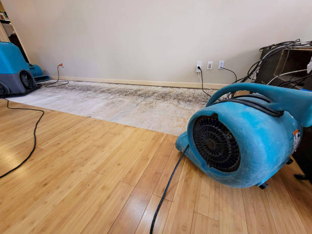 Professional Water Extraction technician working in Salem, VA